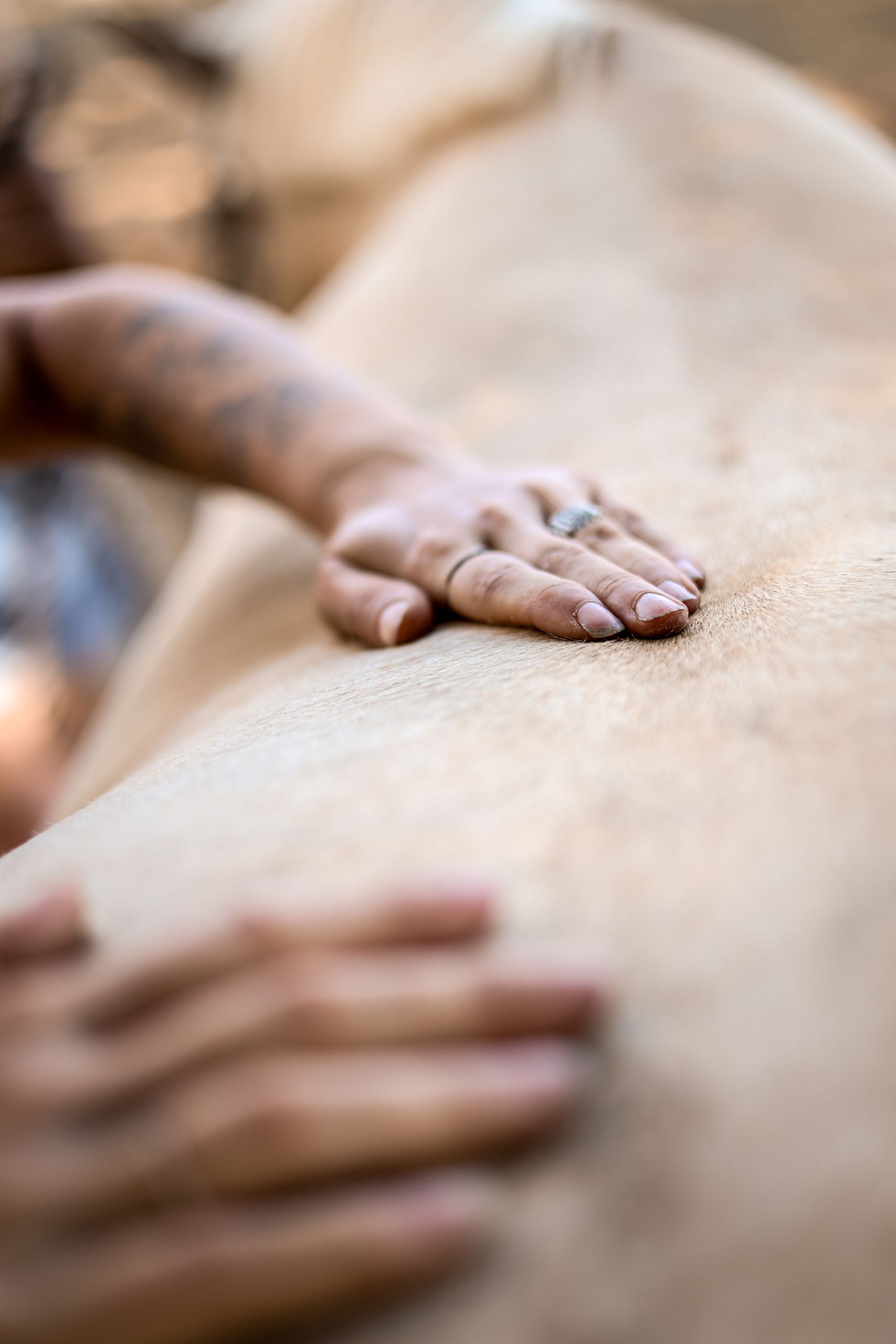 IMG_2638 Psy pour animaux.